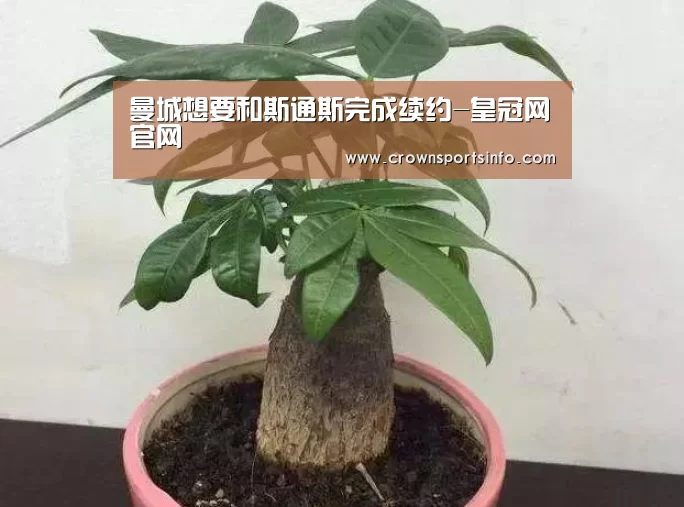 皇冠网入口