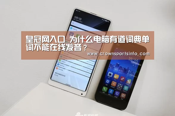皇冠网入口_为什么电脑有道词典单词不能在线发音?(图2) 皇冠网官网
