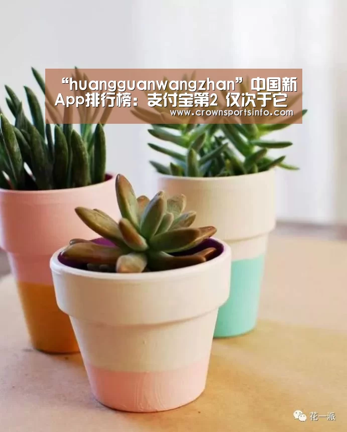 皇冠网入口