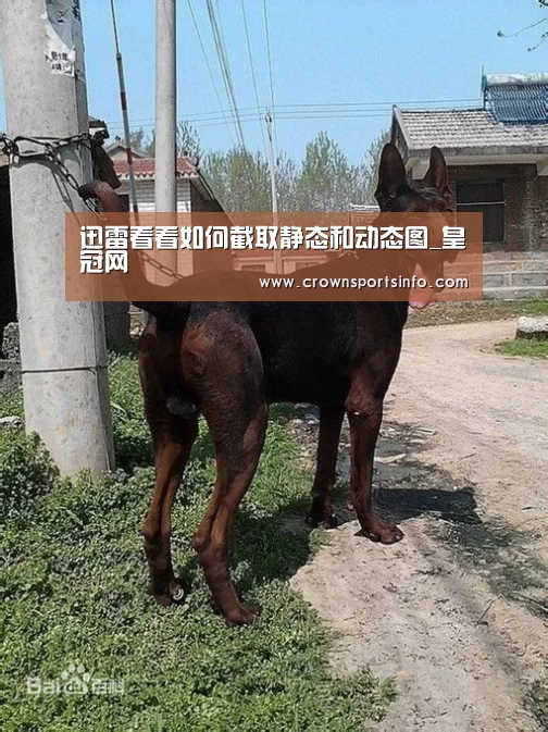 迅雷看看如何截取静态和动态图_皇冠网(图1) 皇冠网