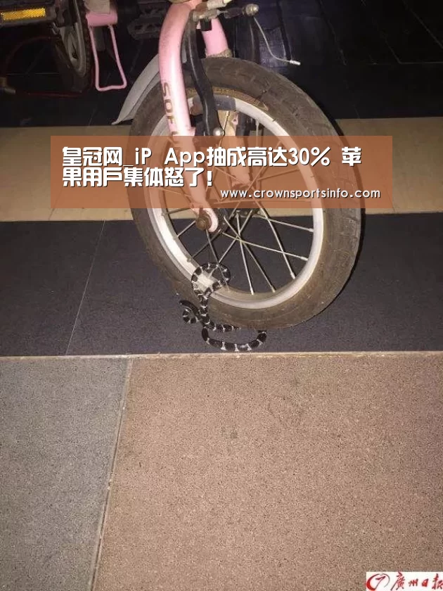 皇冠网入口